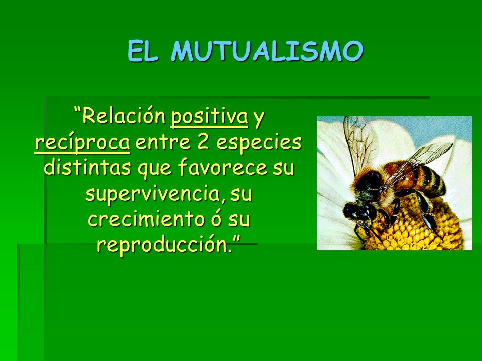 Los métodos públicos de los parásitos